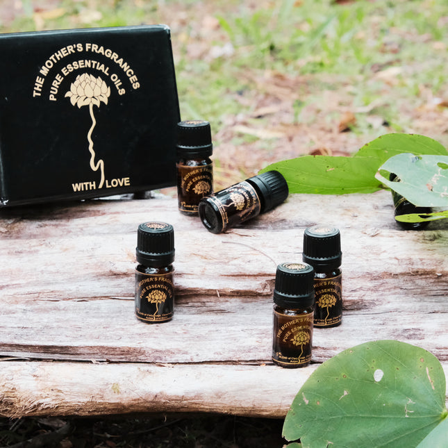 Mixed Box Pure Essential Oils (20 Bottles) | Mothers Fragrances