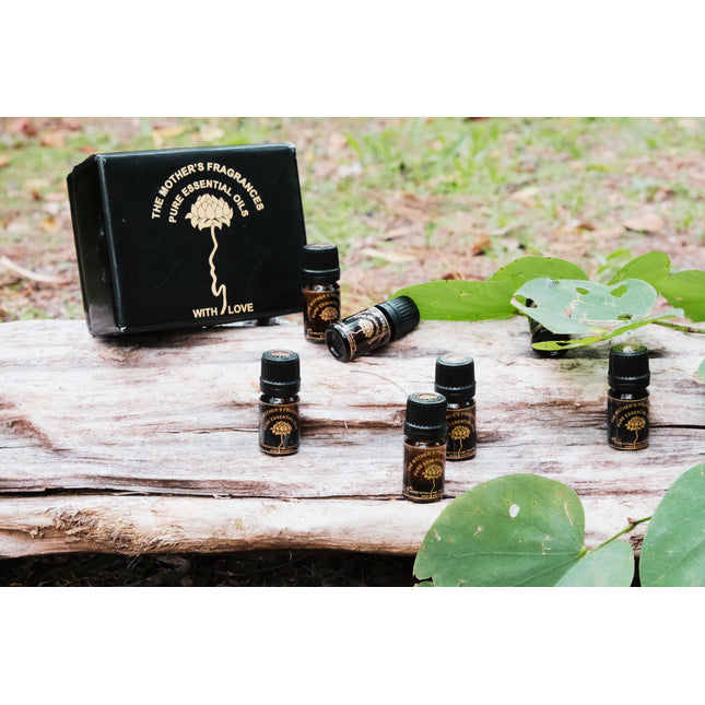 Mothers Fragrances Pure Essential Oil 22 Mixed Box Gift Set